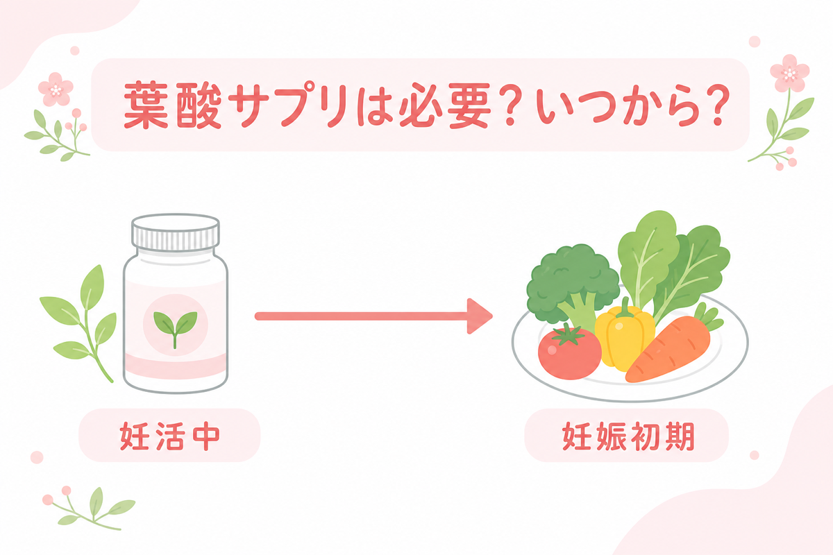 葉酸サプリは必要かいつからの図解