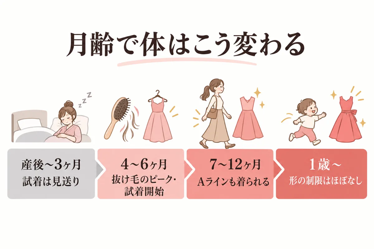 産後の月齢別に体の変化を並べた時系列図